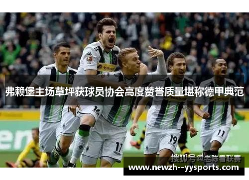 弗赖堡主场草坪获球员协会高度赞誉质量堪称德甲典范